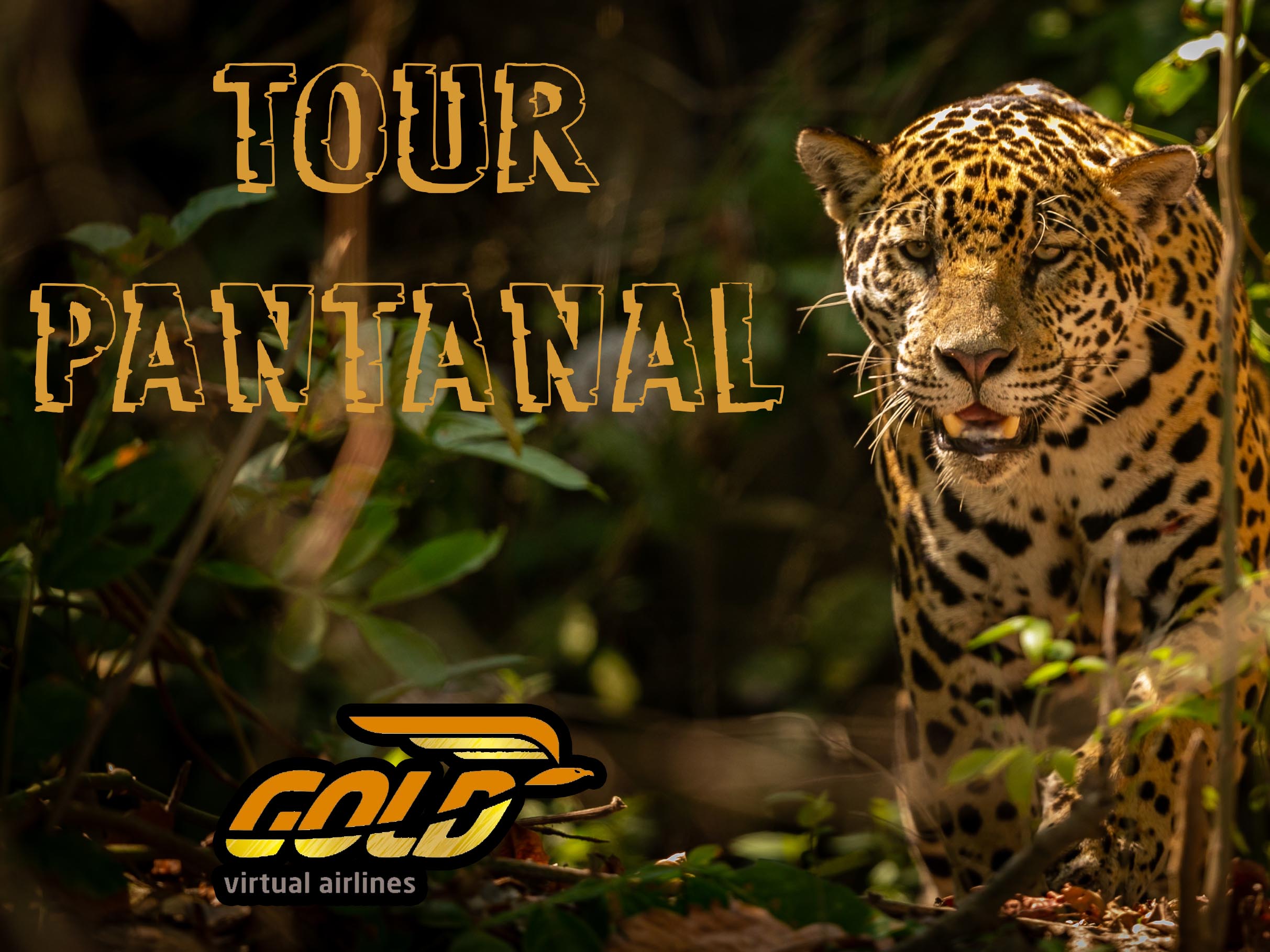 Tour Pantanal